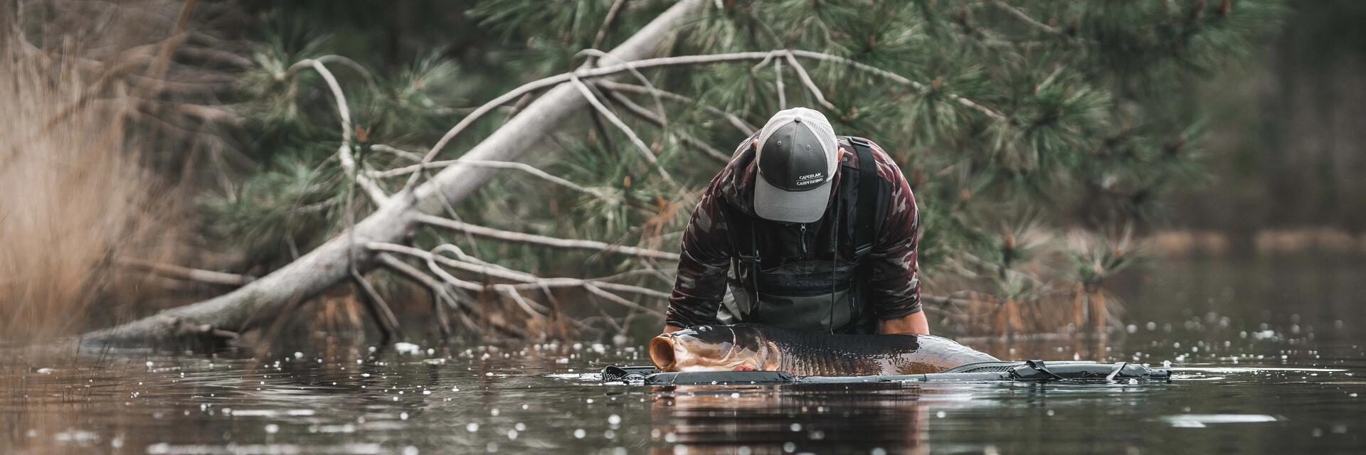 Quel pellet choisir pour la pêche de la carpe au coup ?