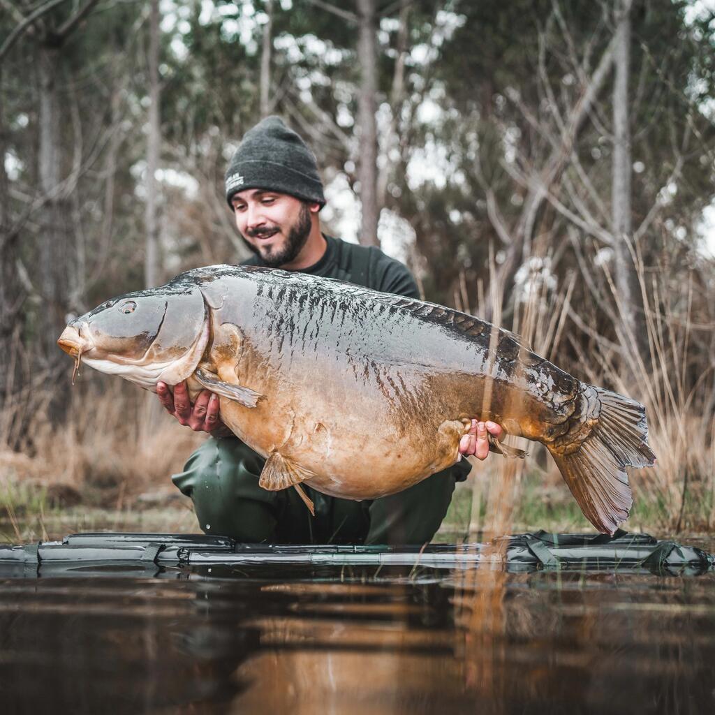 EIn Angler steht im Wasser und hält einen großen Karpfen in den Armen