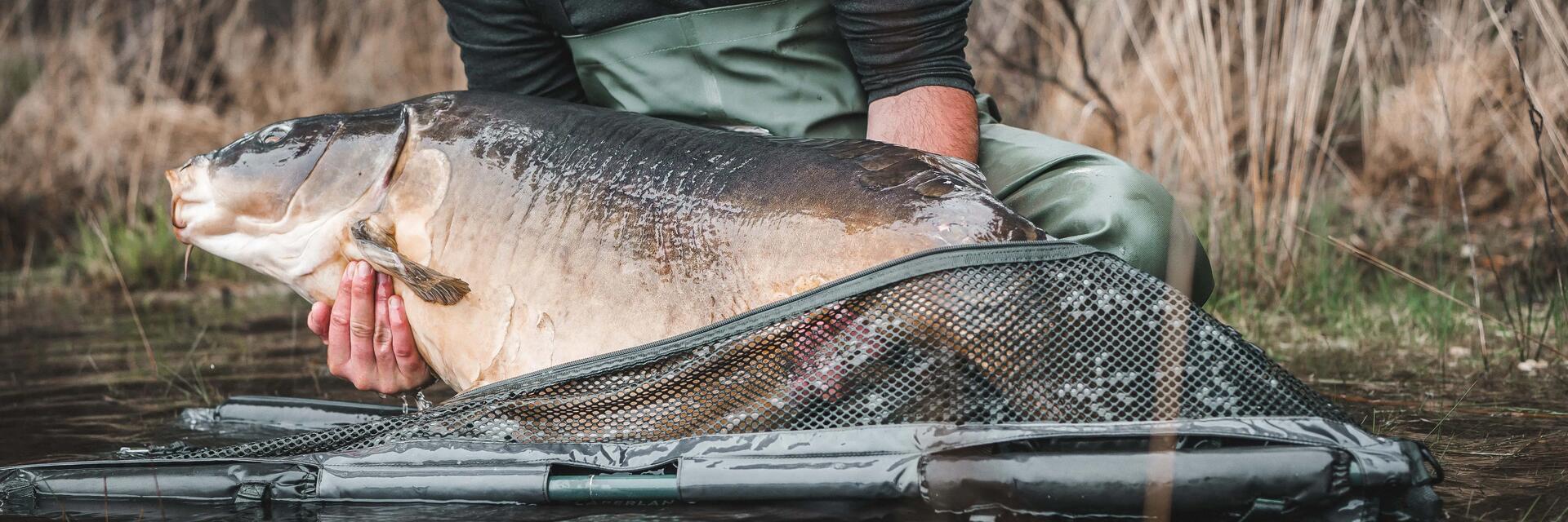 Złowiona ryba metodą vertical jigging