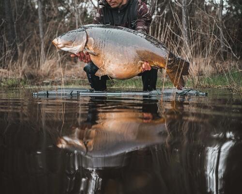 GROSSES CARPES, COMMENT LES TROUVER ?