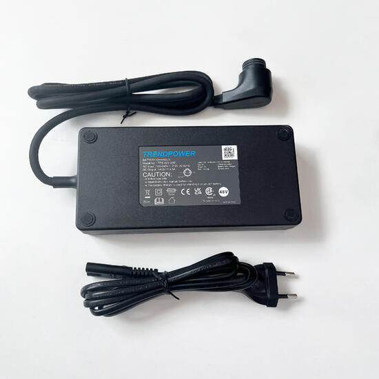 Caricatore 48V 4A LD 920 E