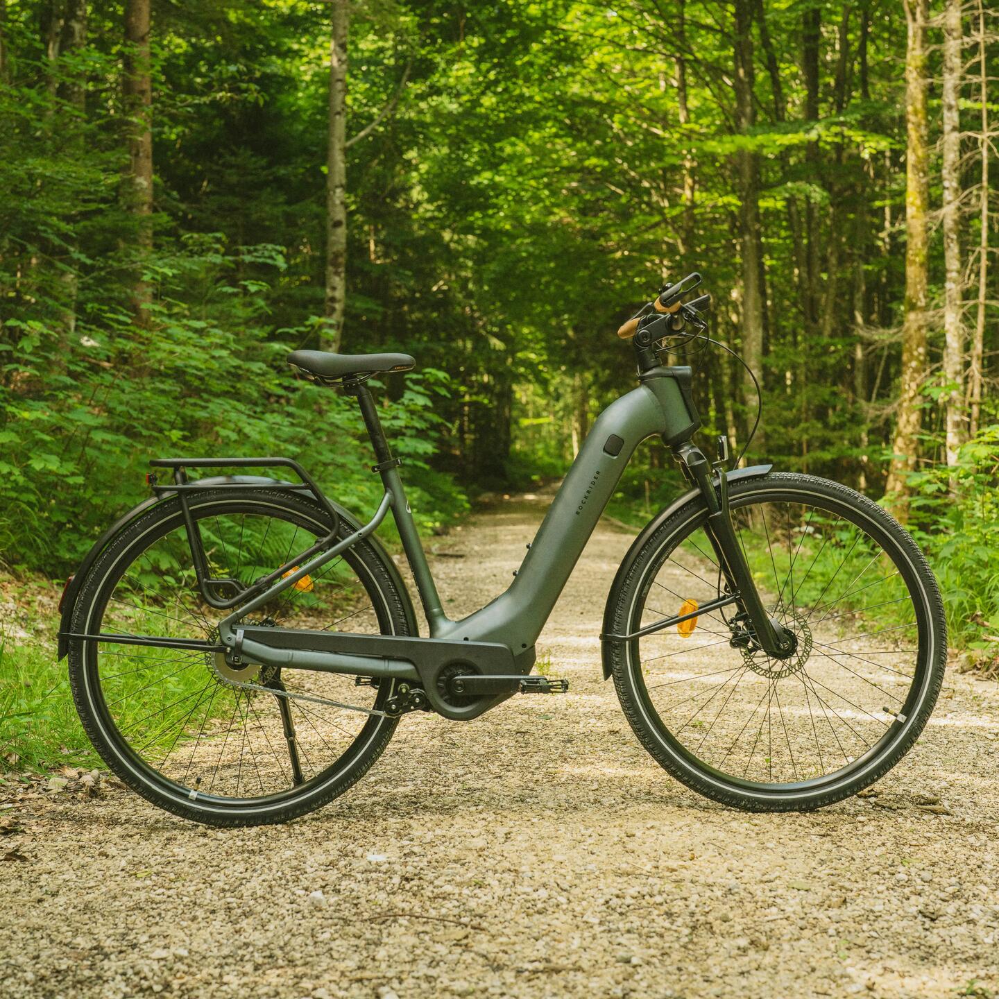 DECATHLON ROCKRIDER E-ACTV 900_Dunkelgrün_Image