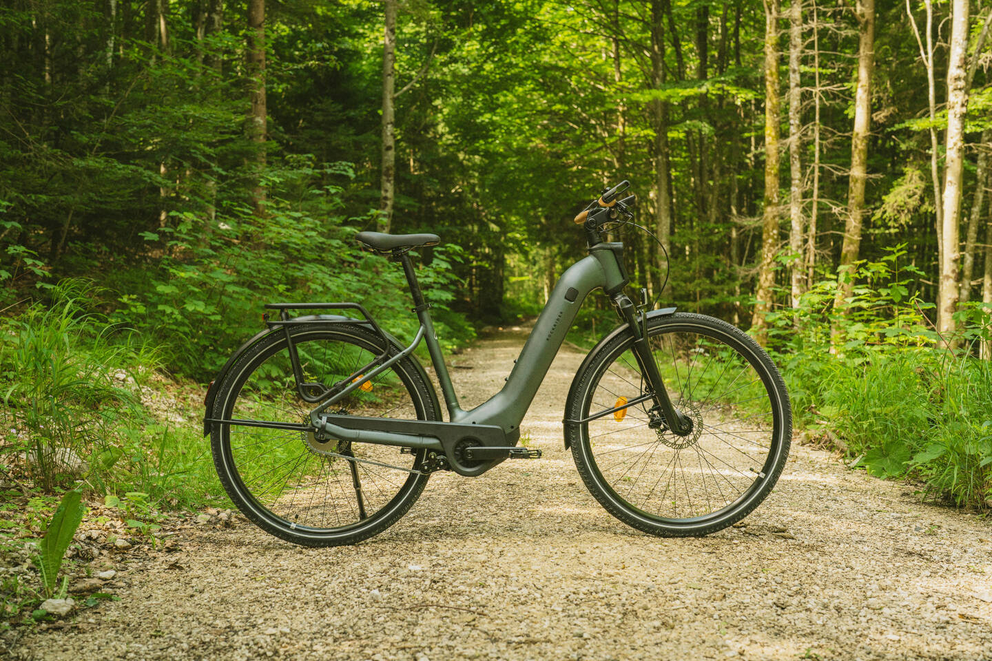 DECATHLON ROCKRIDER E-ACTV 900_Dunkelgrün_Image
