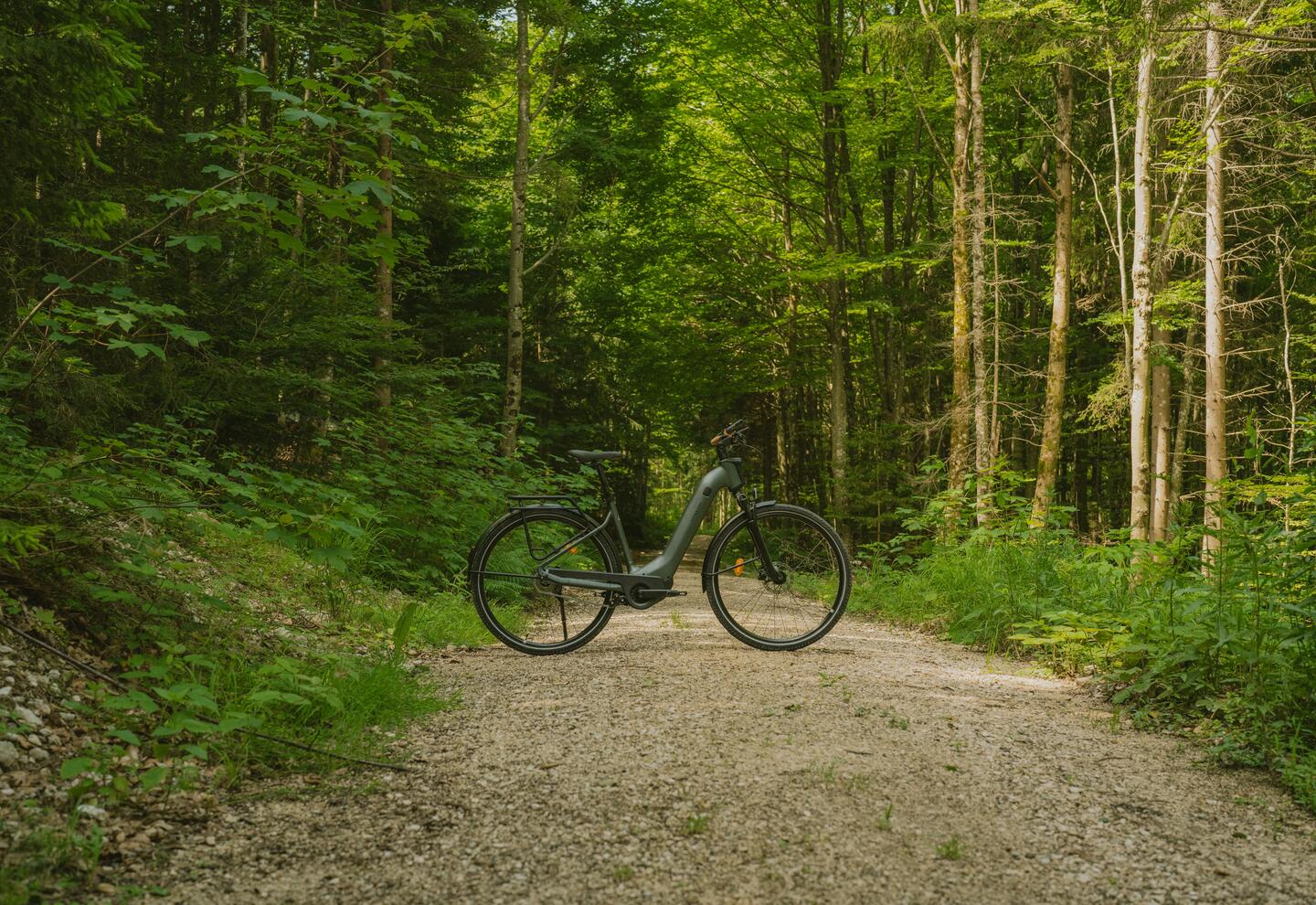 DECATHLON ROCKRIDER E-ACTV 900 Teaser