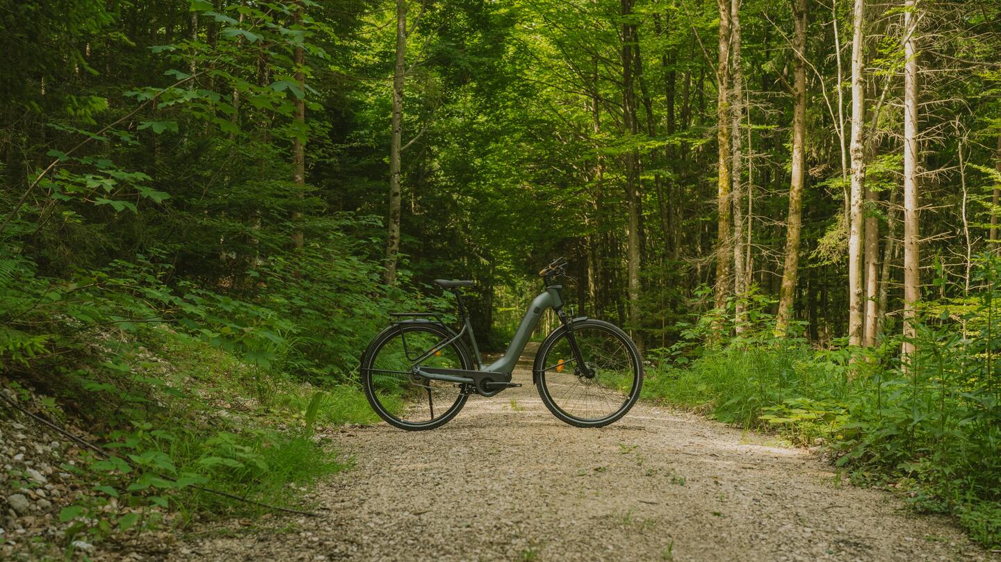 DECATHLON ROCKRIDER E-ACTV 900 Teaser