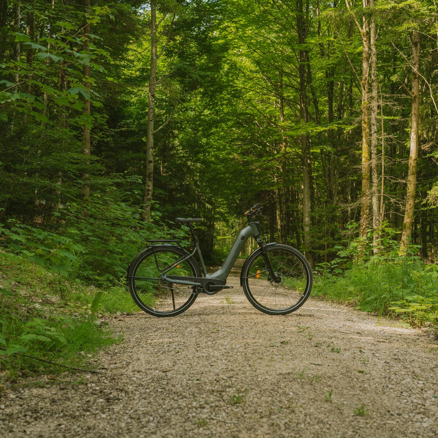 DECATHLON ROCKRIDER E-ACTV 900 LF_Dunkelgrün_Image
