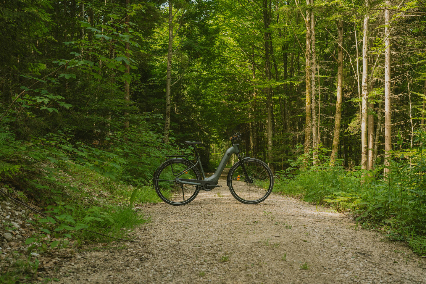 DECATHLON ROCKRIDER E-ACTV 900 LF_Dunkelgrün_Image