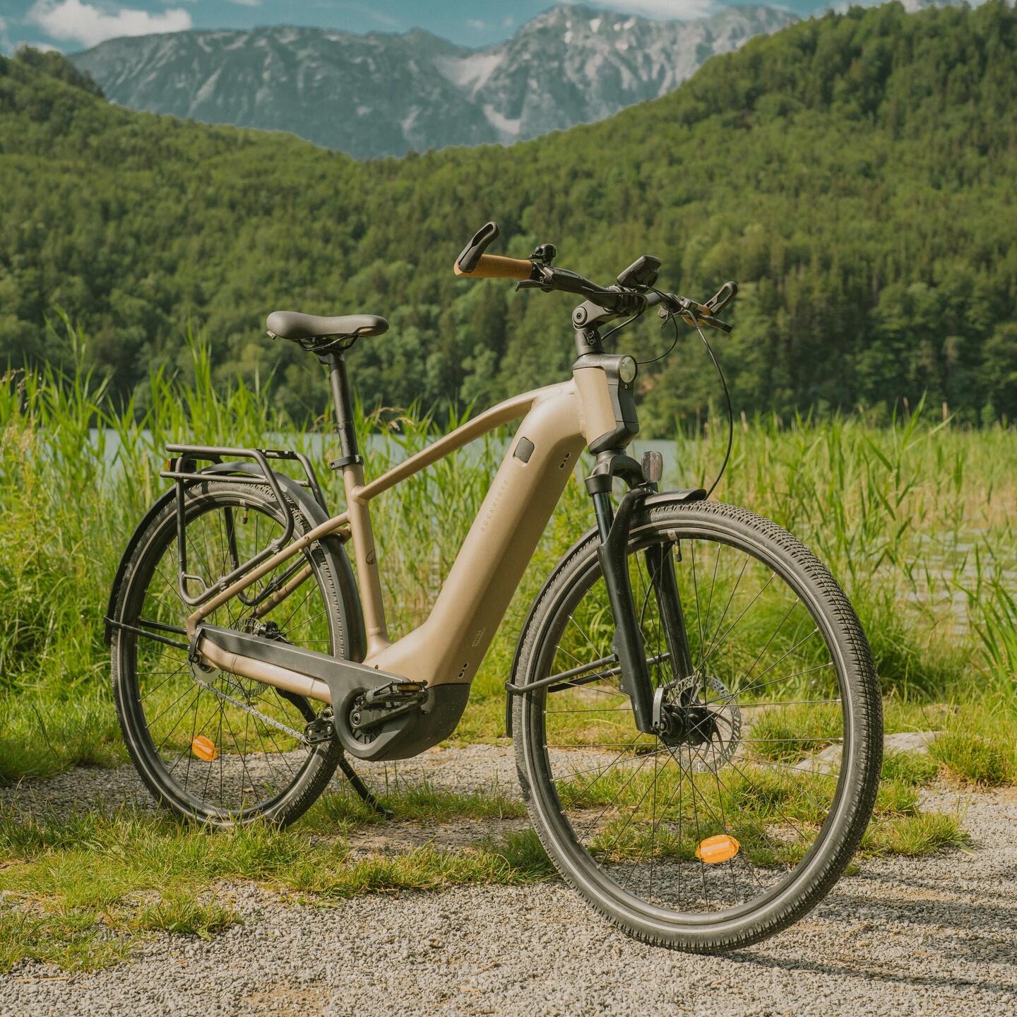 DECATHLON ROCKRIDER E-ACTV 900 HF_Sandbraun_Image