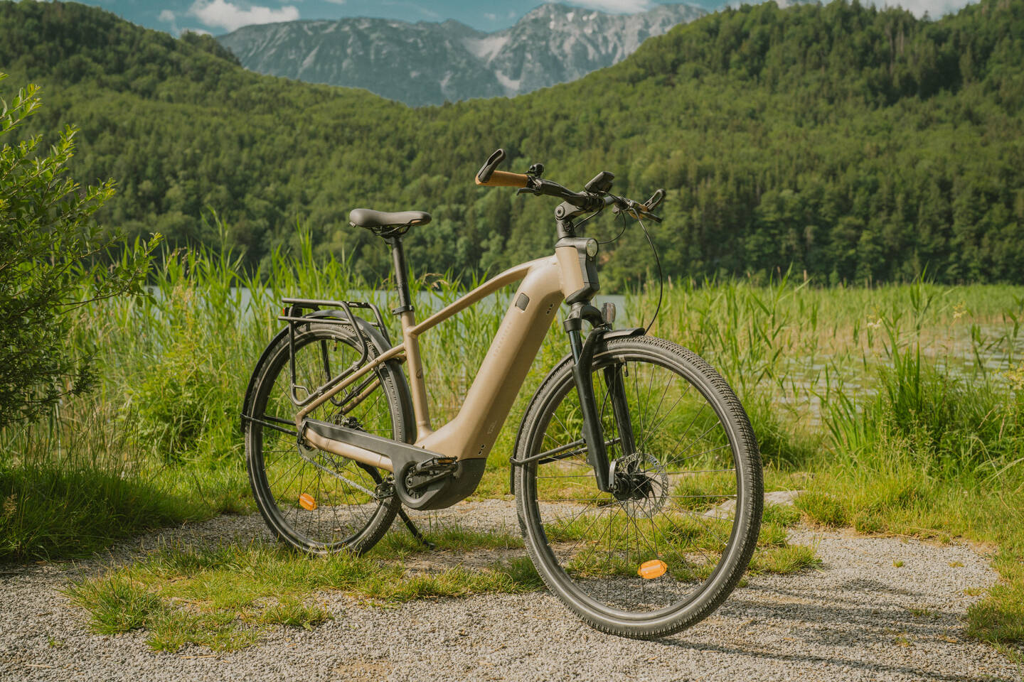DECATHLON ROCKRIDER E-ACTV 900 HF_Sandbraun_Image