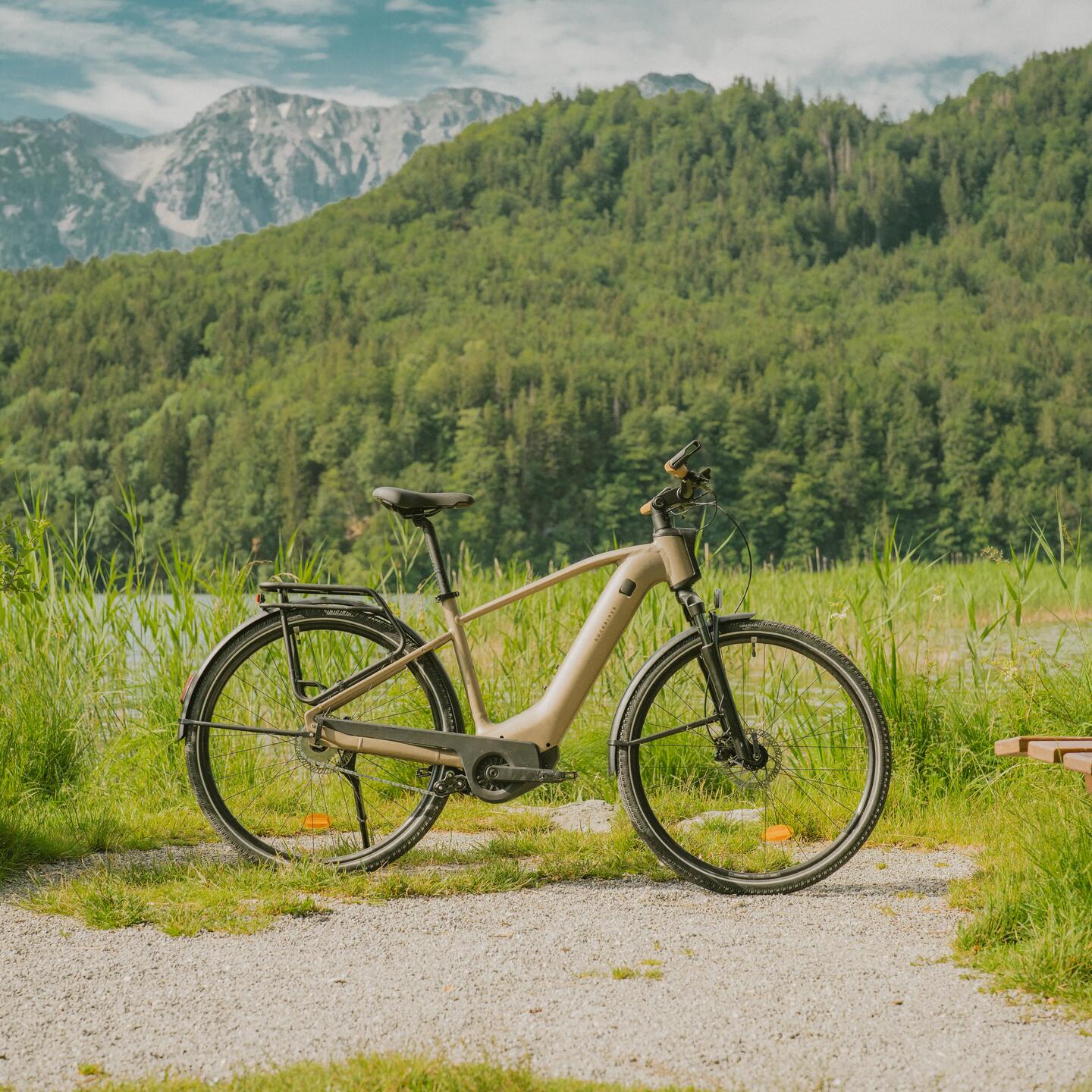 DECATHLON ROCKRIDER E-ACTV 900 HF_Sandbraun_Image
