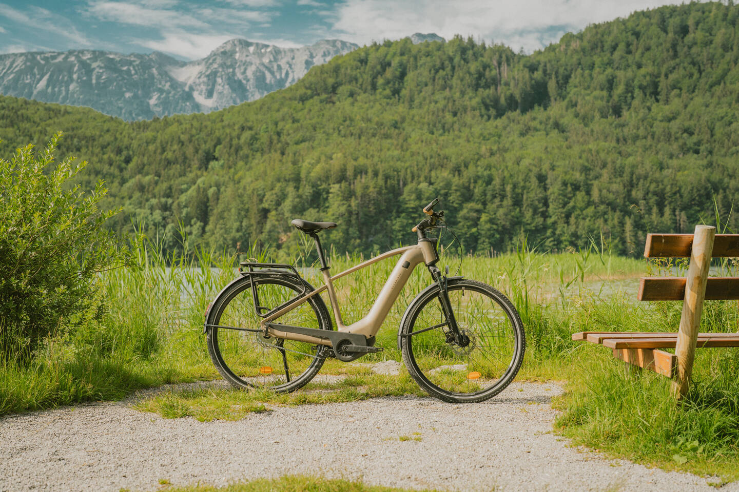 DECATHLON ROCKRIDER E-ACTV 900 HF_Sandbraun_Image