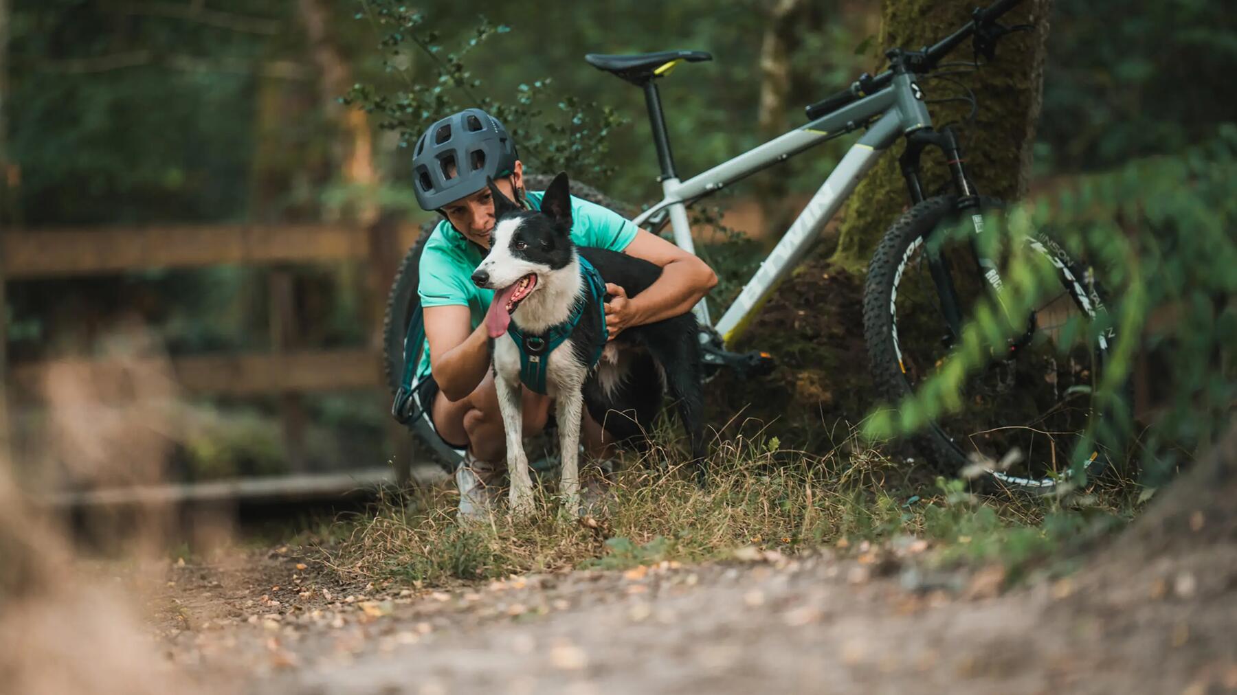 Vrouw met mountainbike en hond in het bos