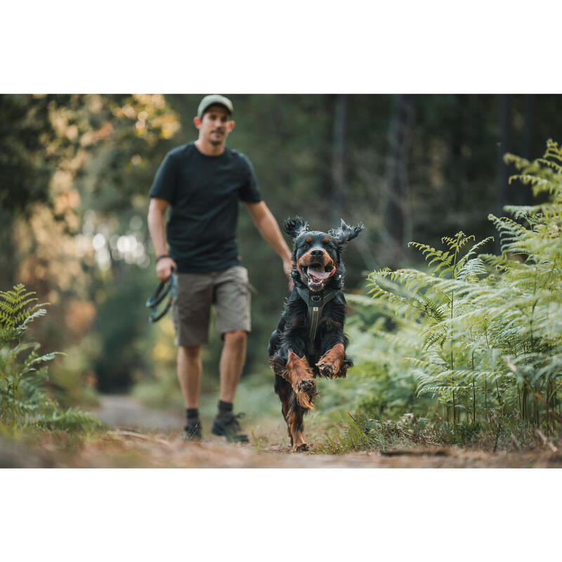 Outdoor Köpek Göğüs Tasması - Avcılık ve Doğa Gözlemi - Haki - 500