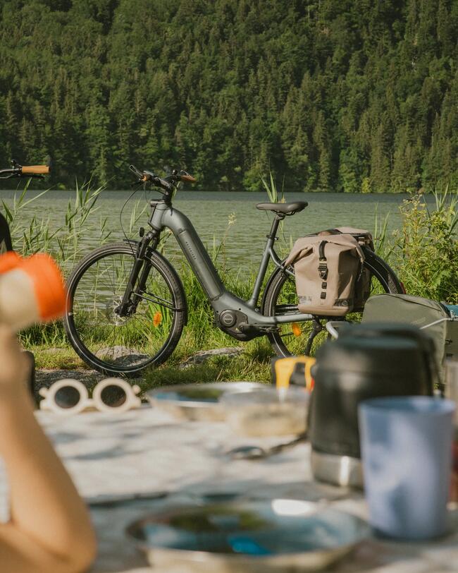 Im Vordergrund unscharf ein Picknick; im Hintergrund schwarzes E-Bike mit braunen Packtaschen vor See und Wald