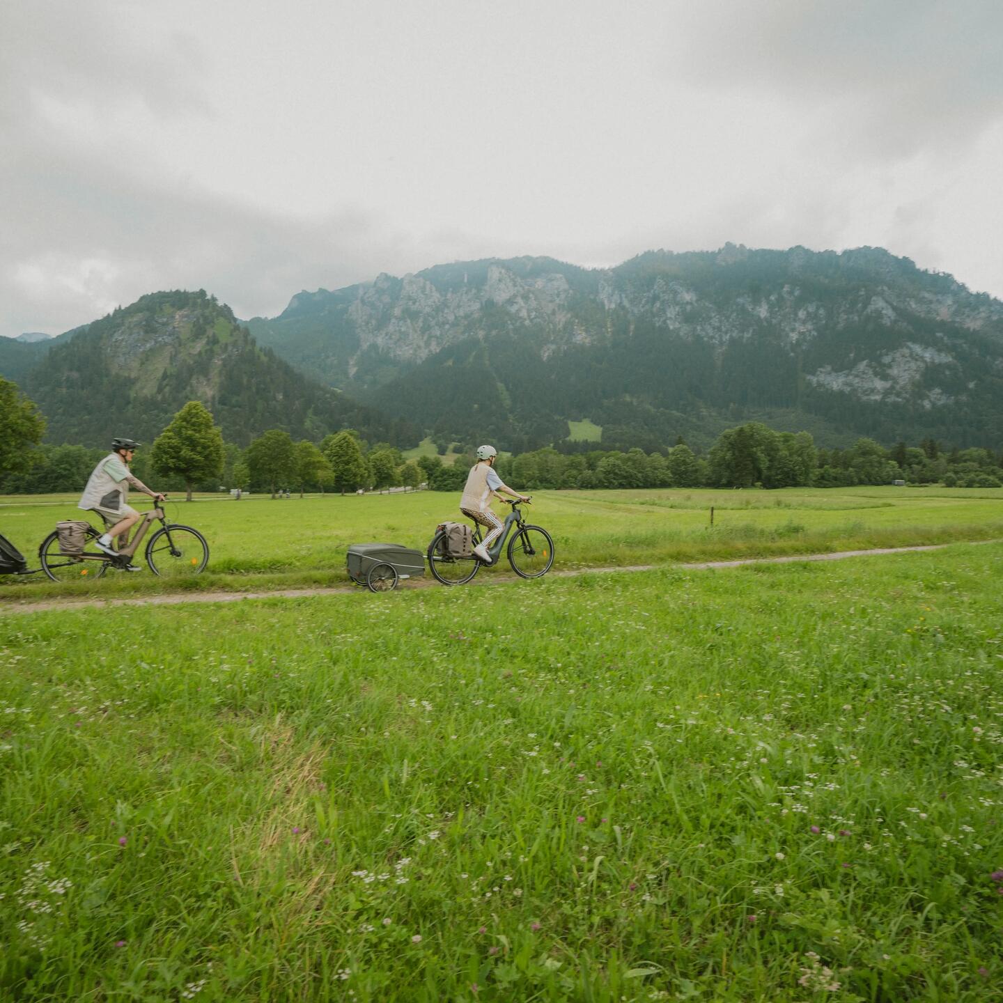 DECATHLON ROCKRIDER E-ACTV 900_Image