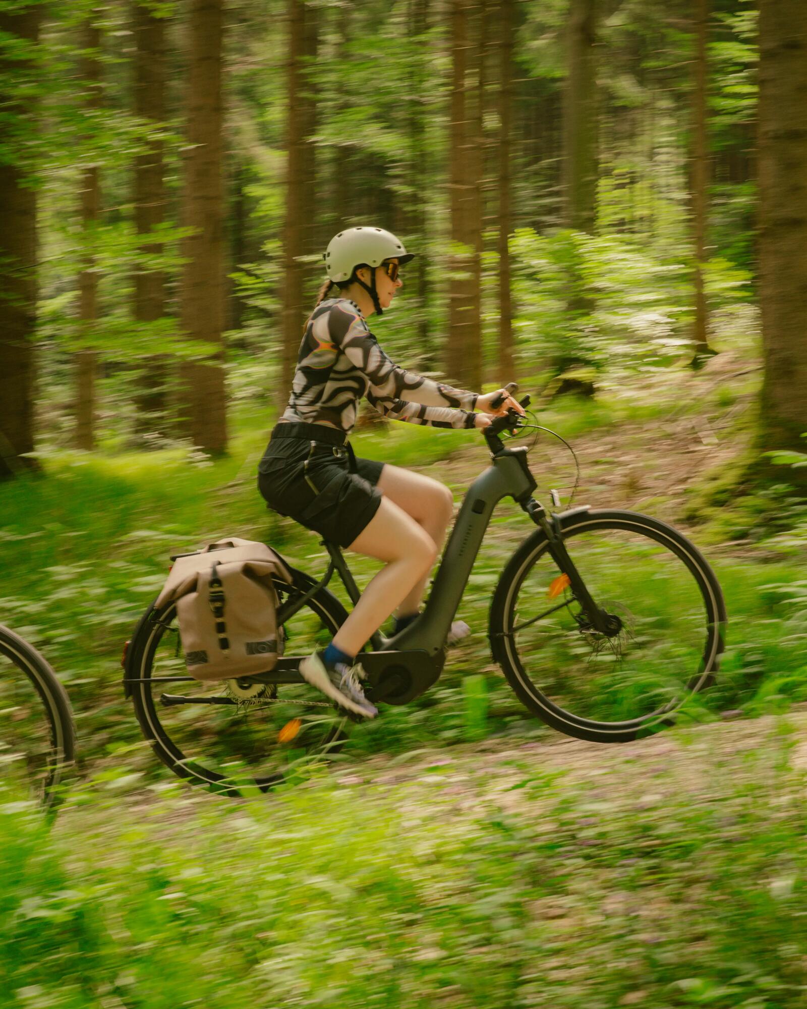 Scheda prodotto PLP Bici elettriche ibride