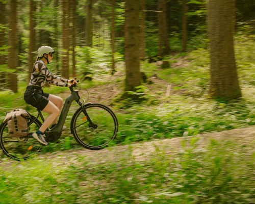 COME SCEGLIERE LA BICI TREKKING? | DECATHLON