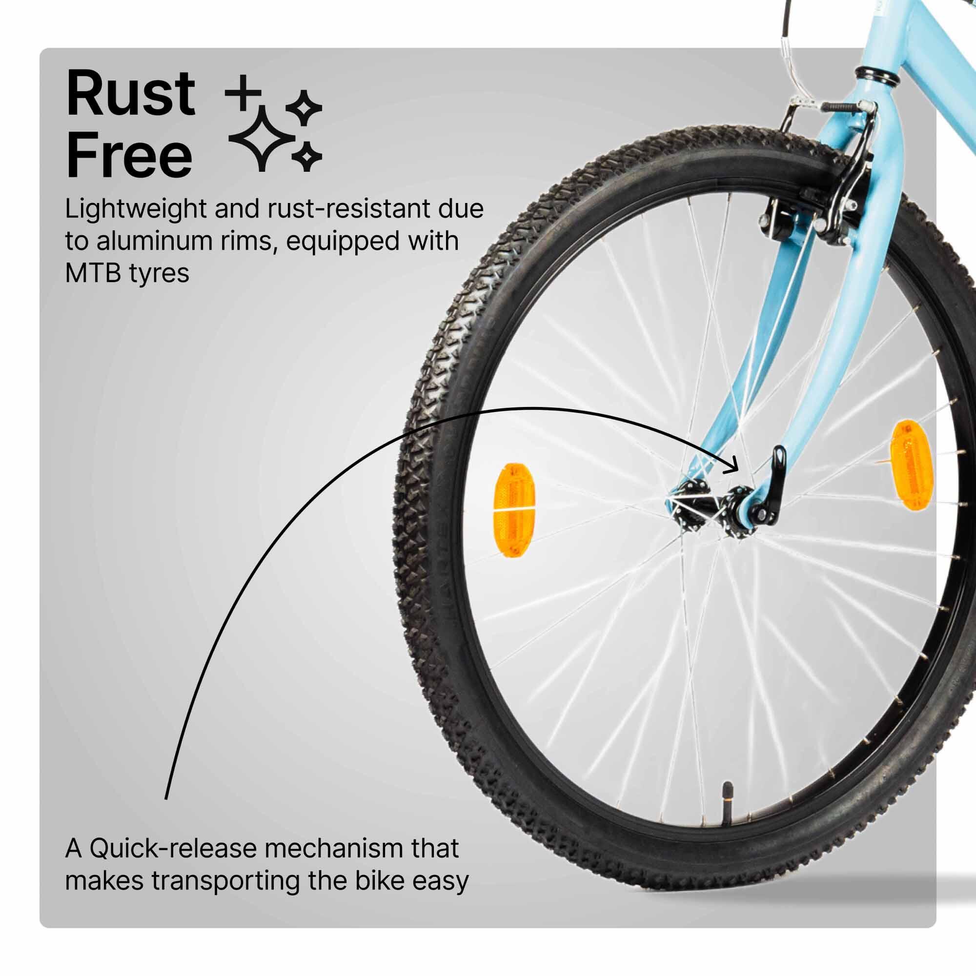 Mountain Bike Rockrider ST20 Low Frame Steel Frame, Single Speed