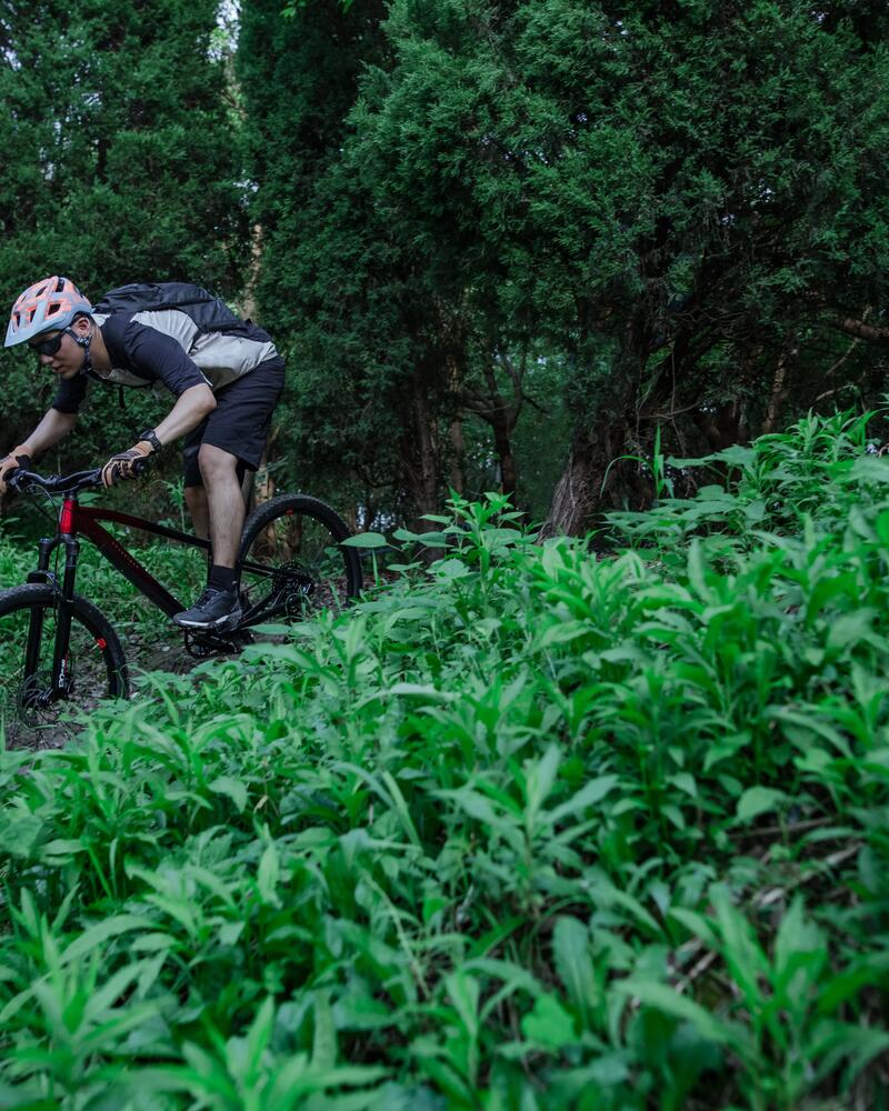 Cómo planificar tu primera ruta MTB