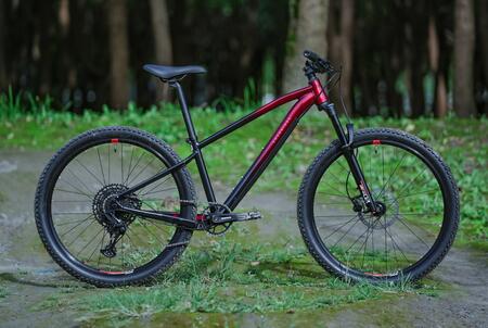 RR520