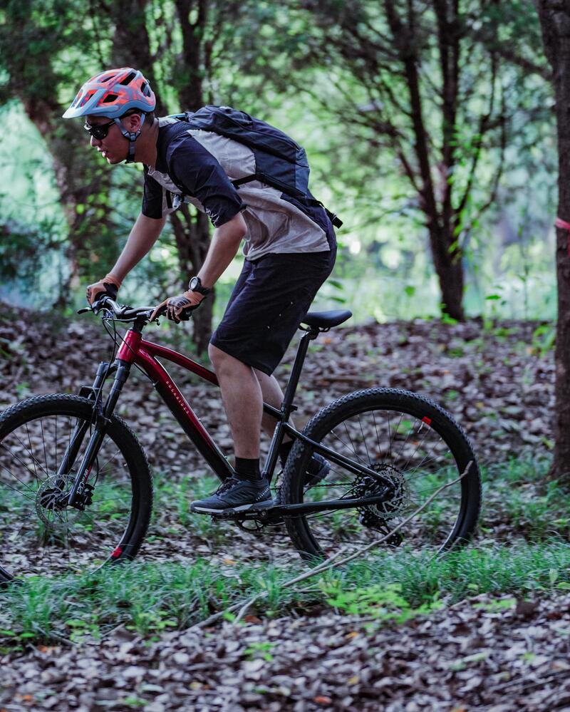 Mountainbiken