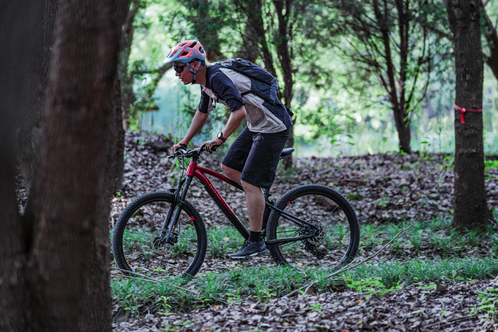 Terreni poco accidentati / Uscite in MTB da 30 minuti a 1h30