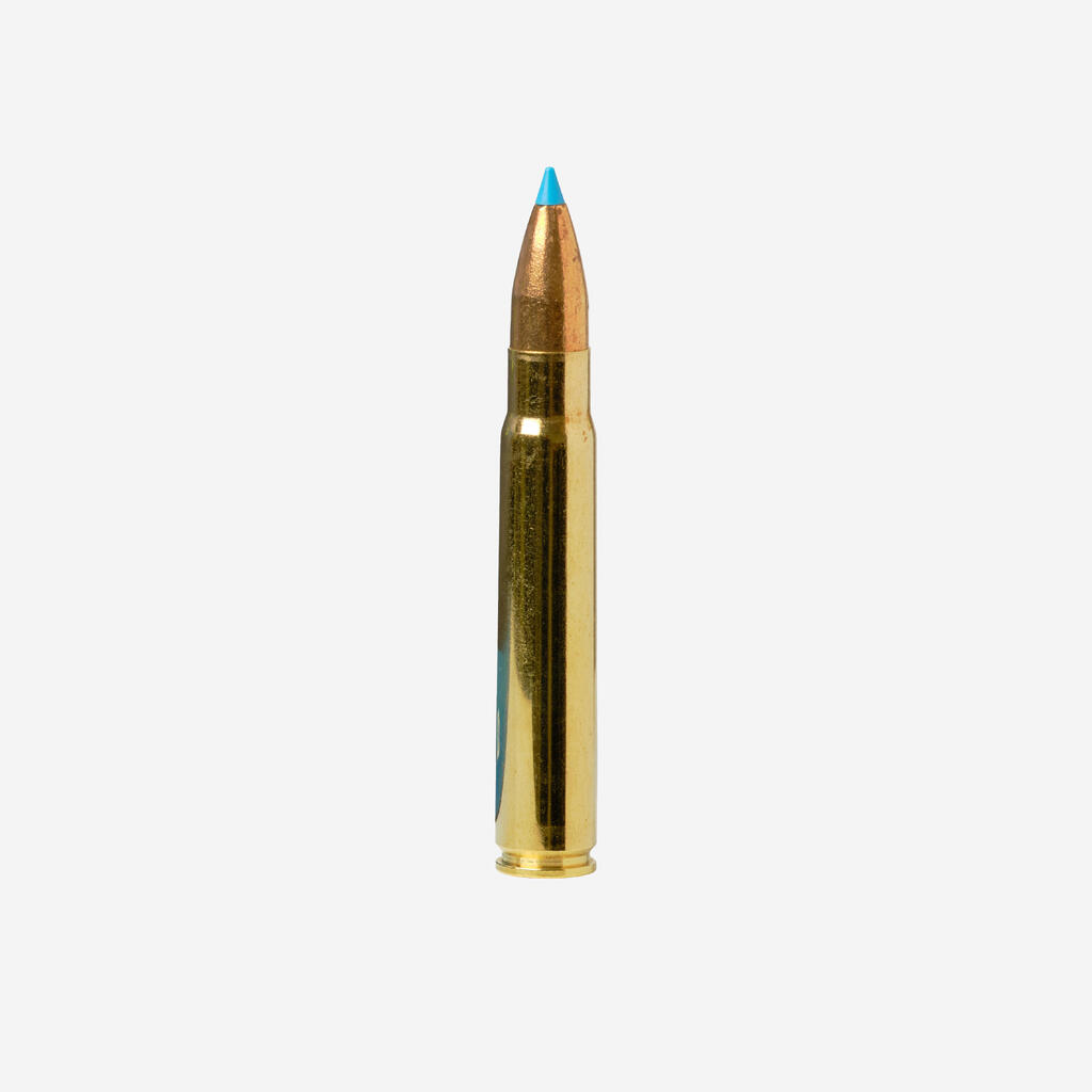 LEAD-FREE BULLET EXERGY 9.3X62 250 grains/16.2 grams