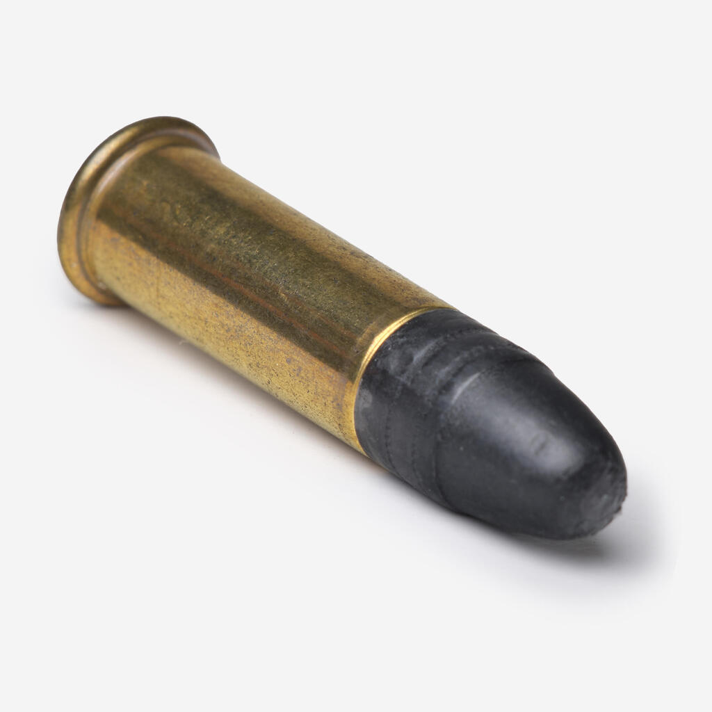 22 LONG RIFLE TRAINING BULLETS X50