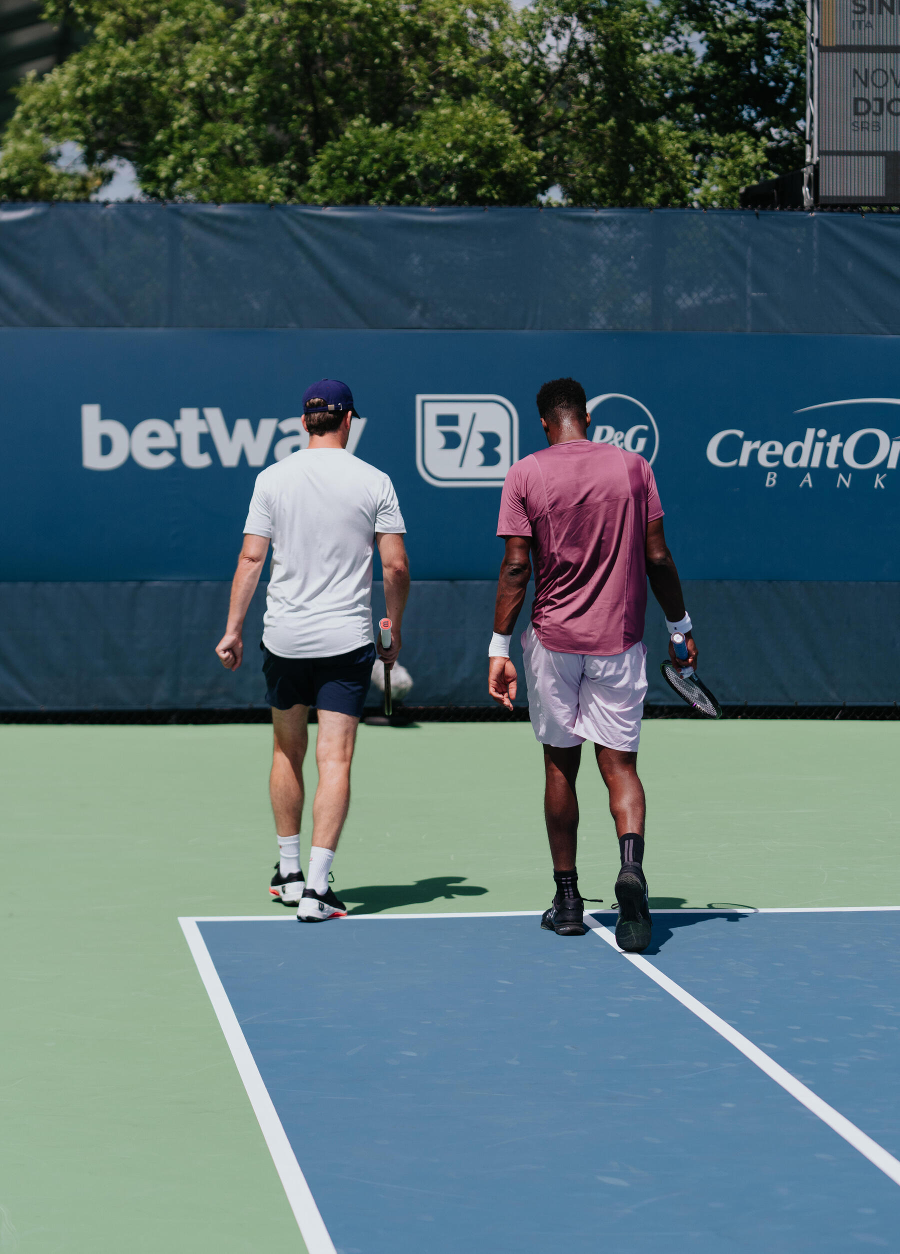 tennis