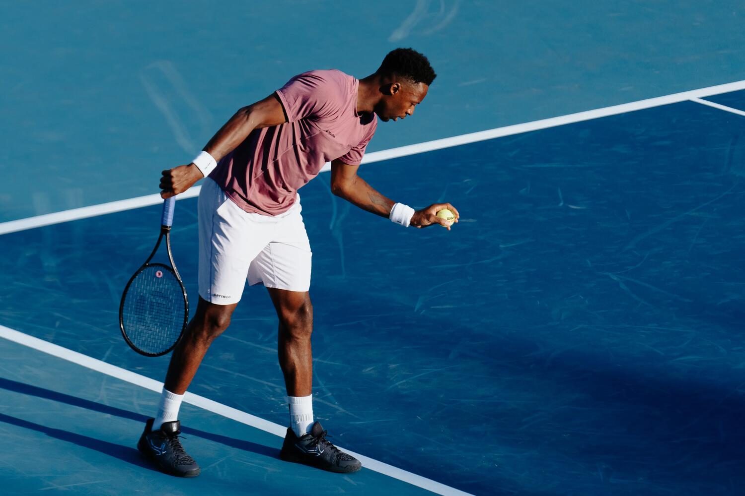 Gael Monfils