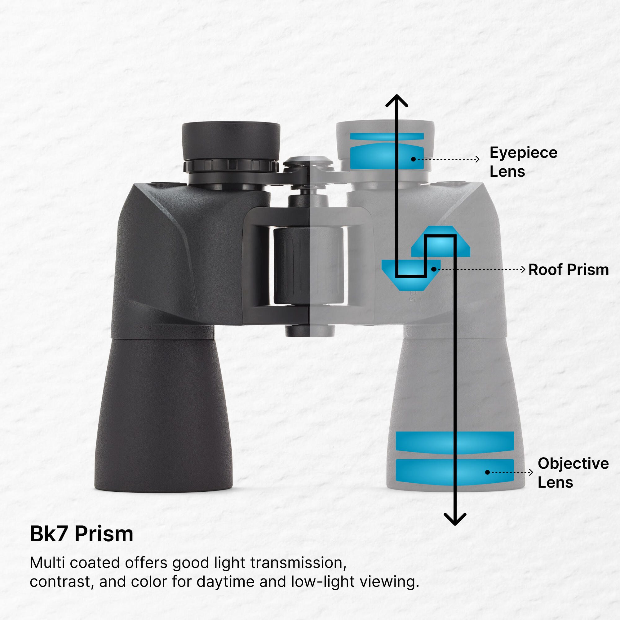 Binoculars Porro 100 10x50 - Black