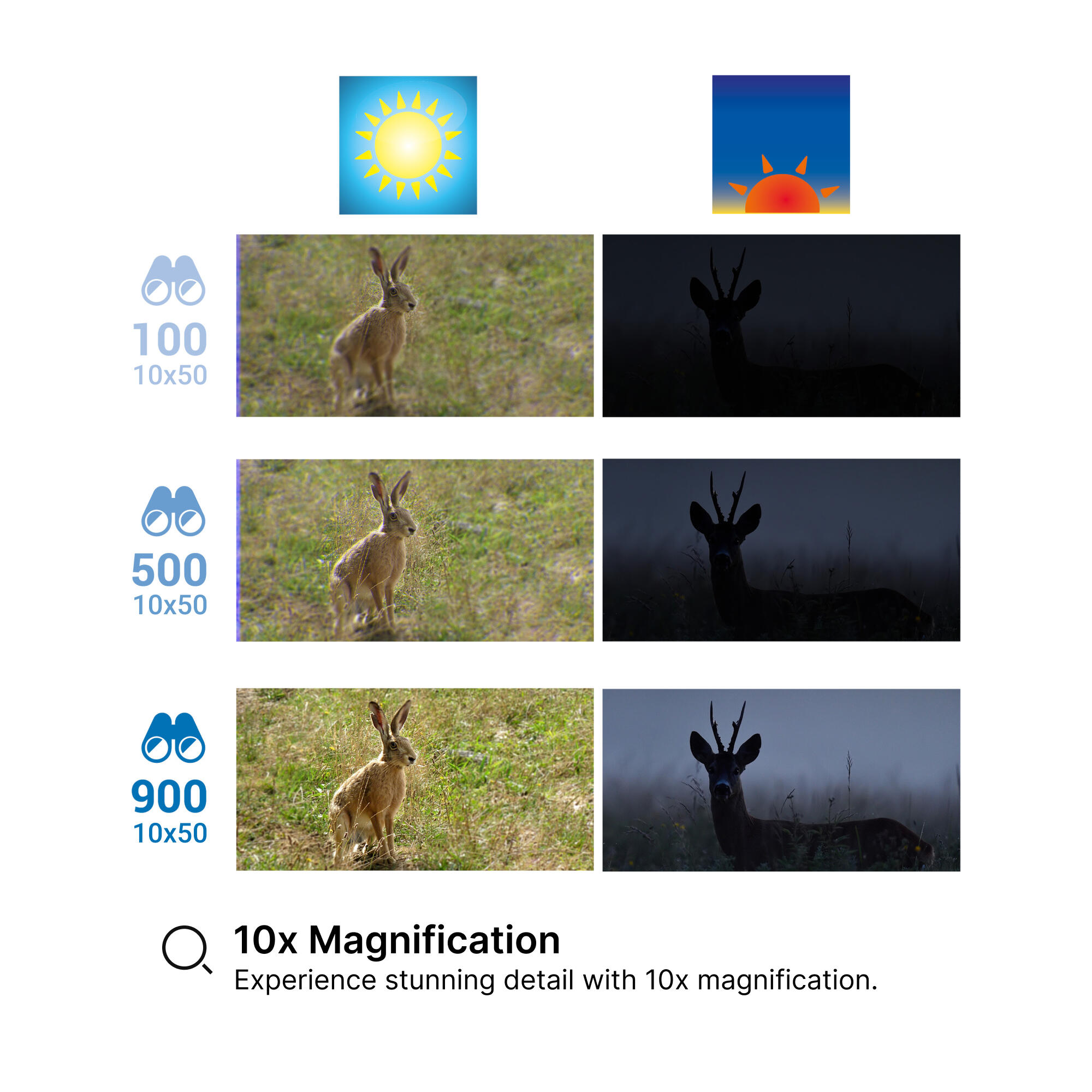 Binoculars Porro 100 10x50 - Black