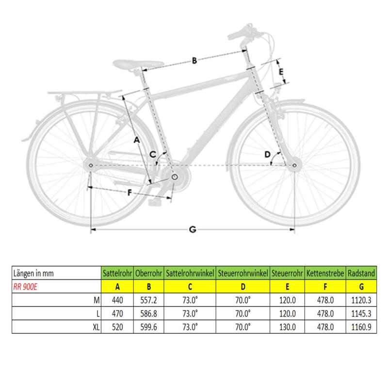 E-Mountainbike 29 Zoll RR900e Bosch Performance CX schwarz matt