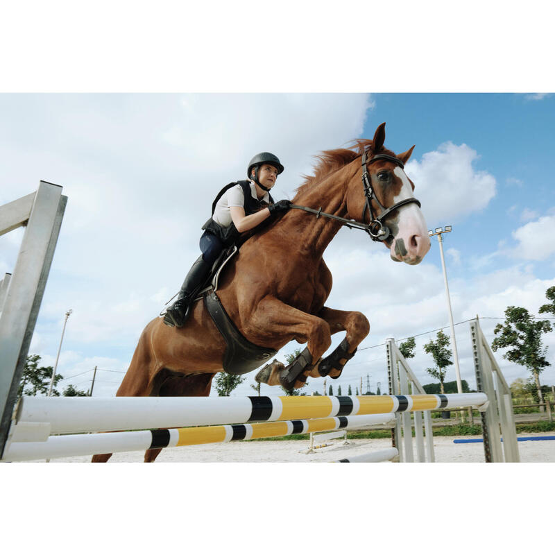 Filet équitation cuir muserolle française Cheval et Poney - 900 marron foncé