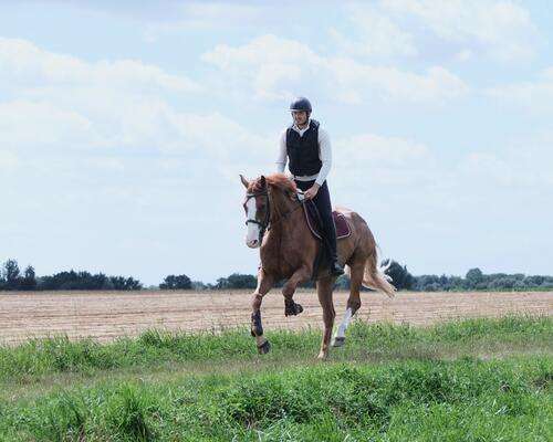 Apprendre le départ au galop