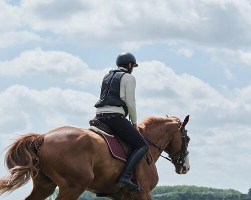 EQUITATION : QUEL ÉQUIPEMENT POUR DÉBUTER?