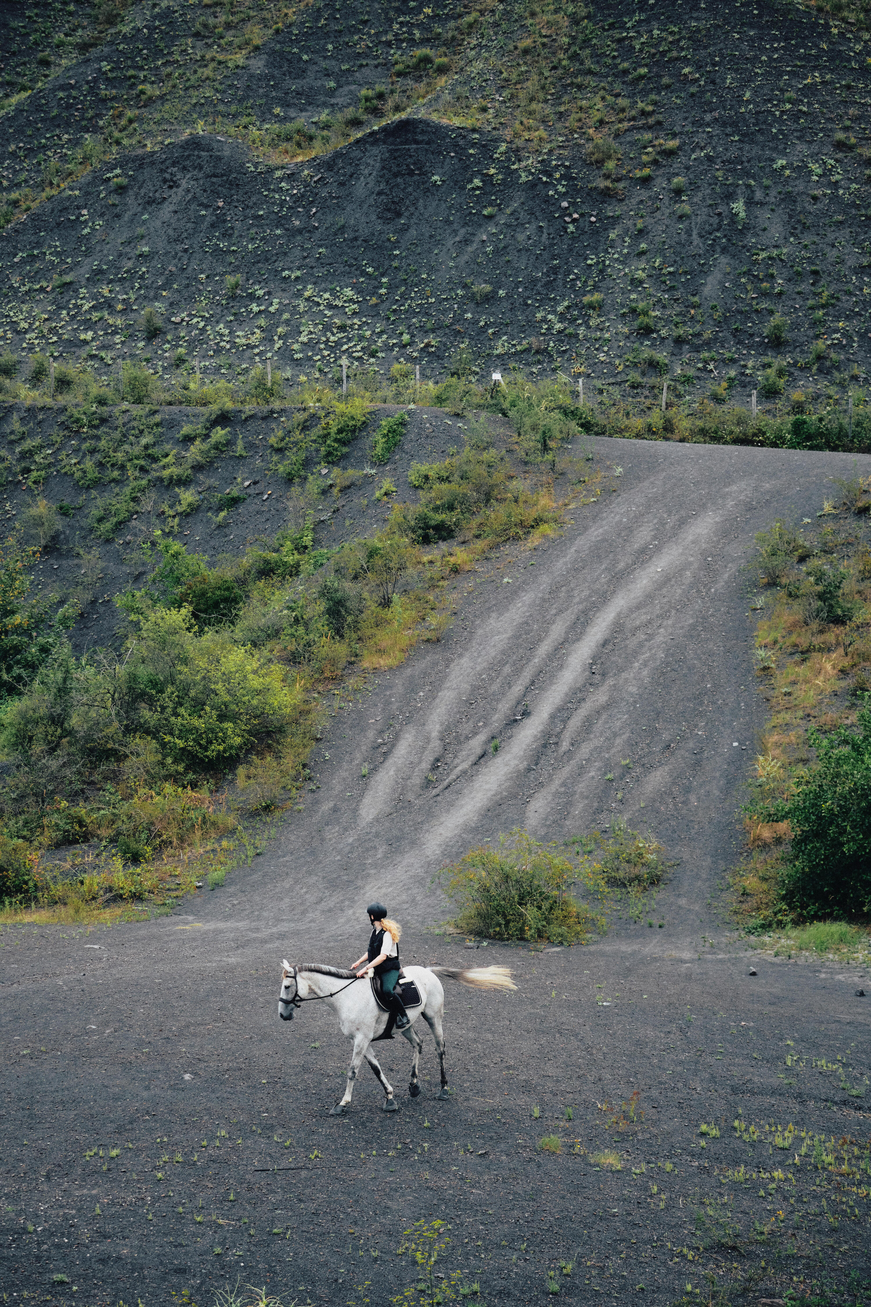 Bridon sans mors d’équitation pour cheval et poney 5/8