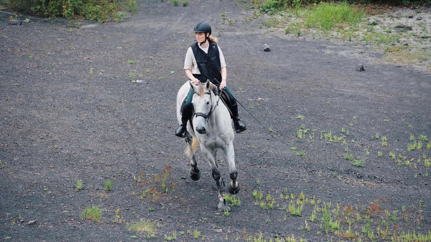 Hoe verloopt een dressuurwedstrijd?
