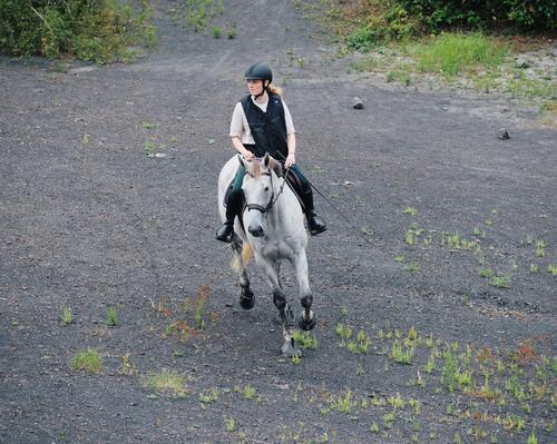 Comment travailler le galop de son cheval ?