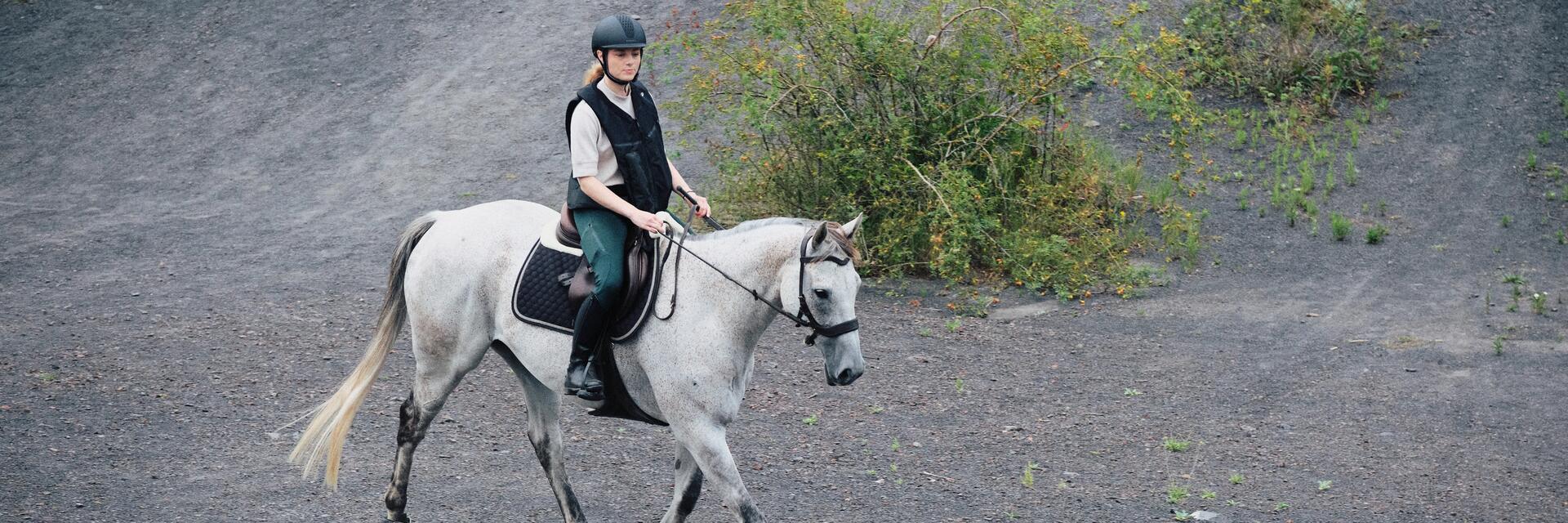 ÉQUITATION