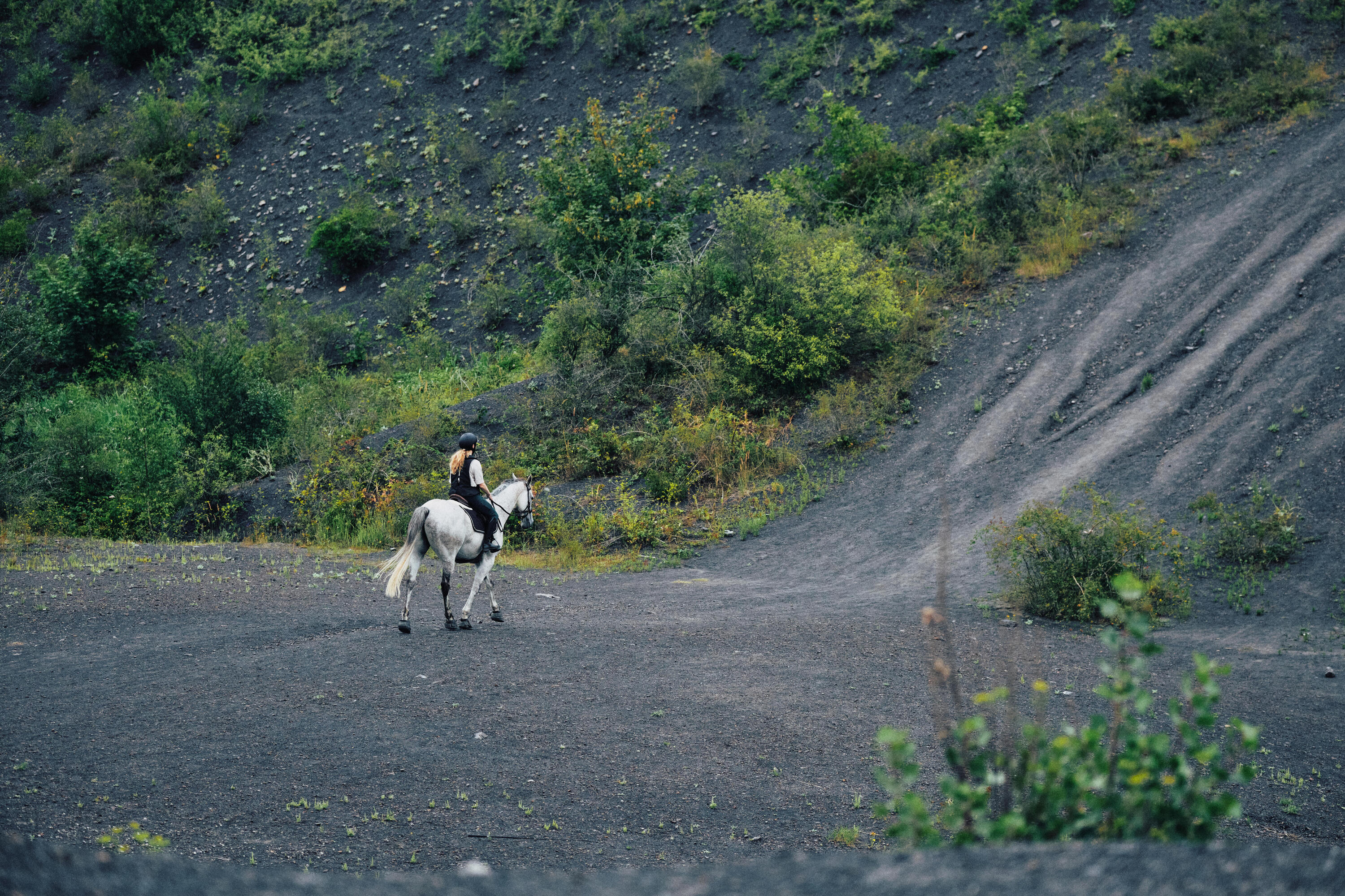 Cabezada de equitación sin bocado café para caballo y poni 12/13