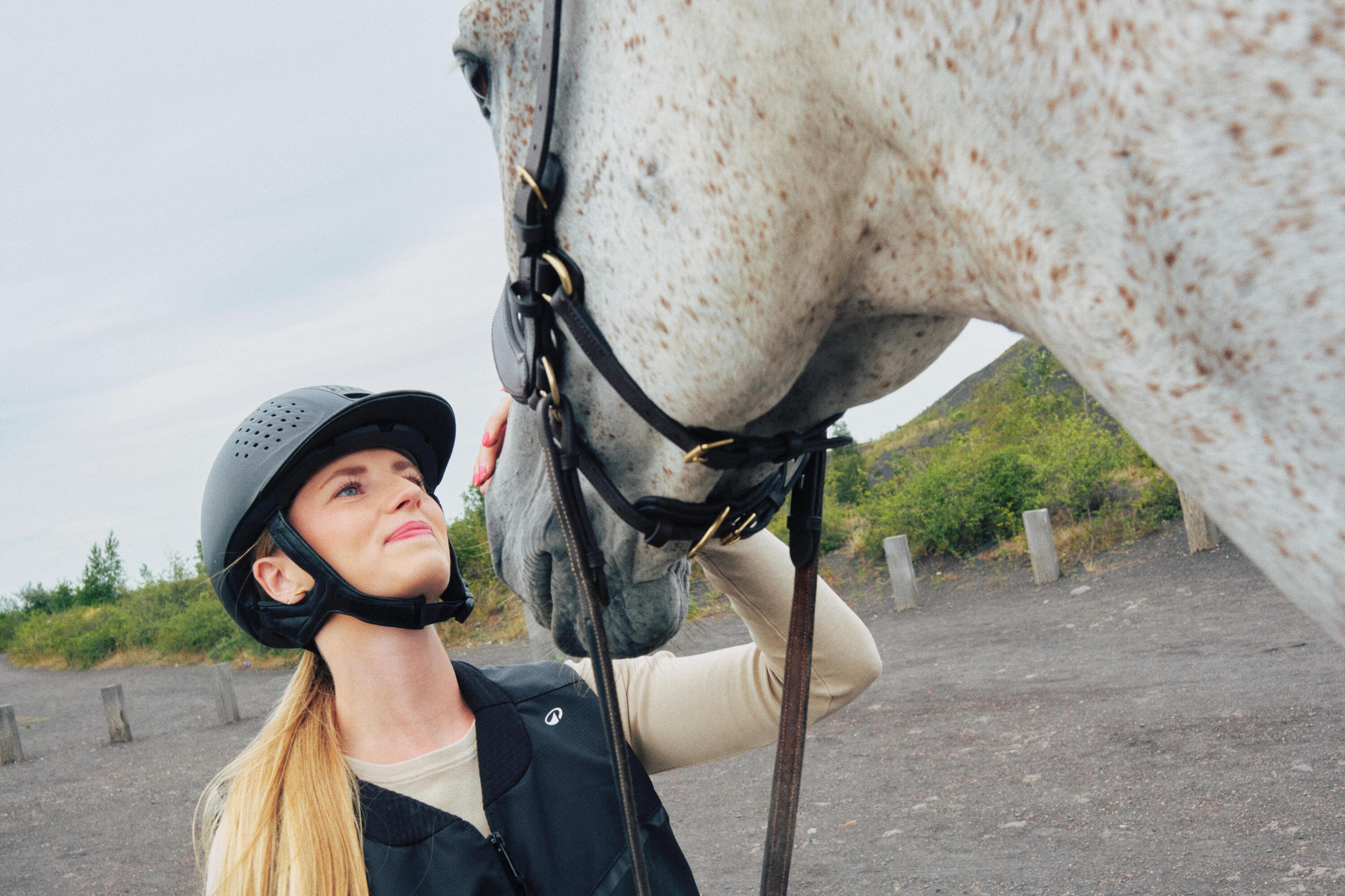 Cabezada de equitación sin bocado café para caballo y poni 11/13