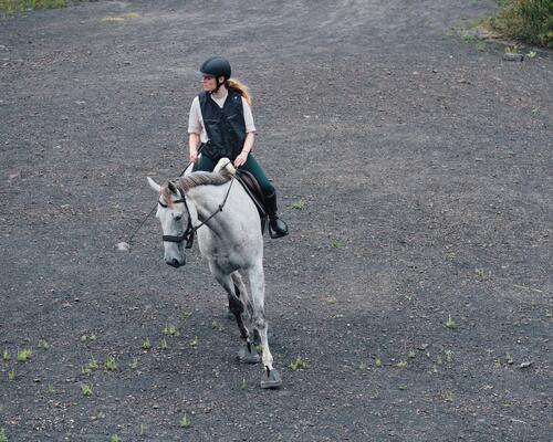 Découvrez les exercices pour assouplir votre cheval