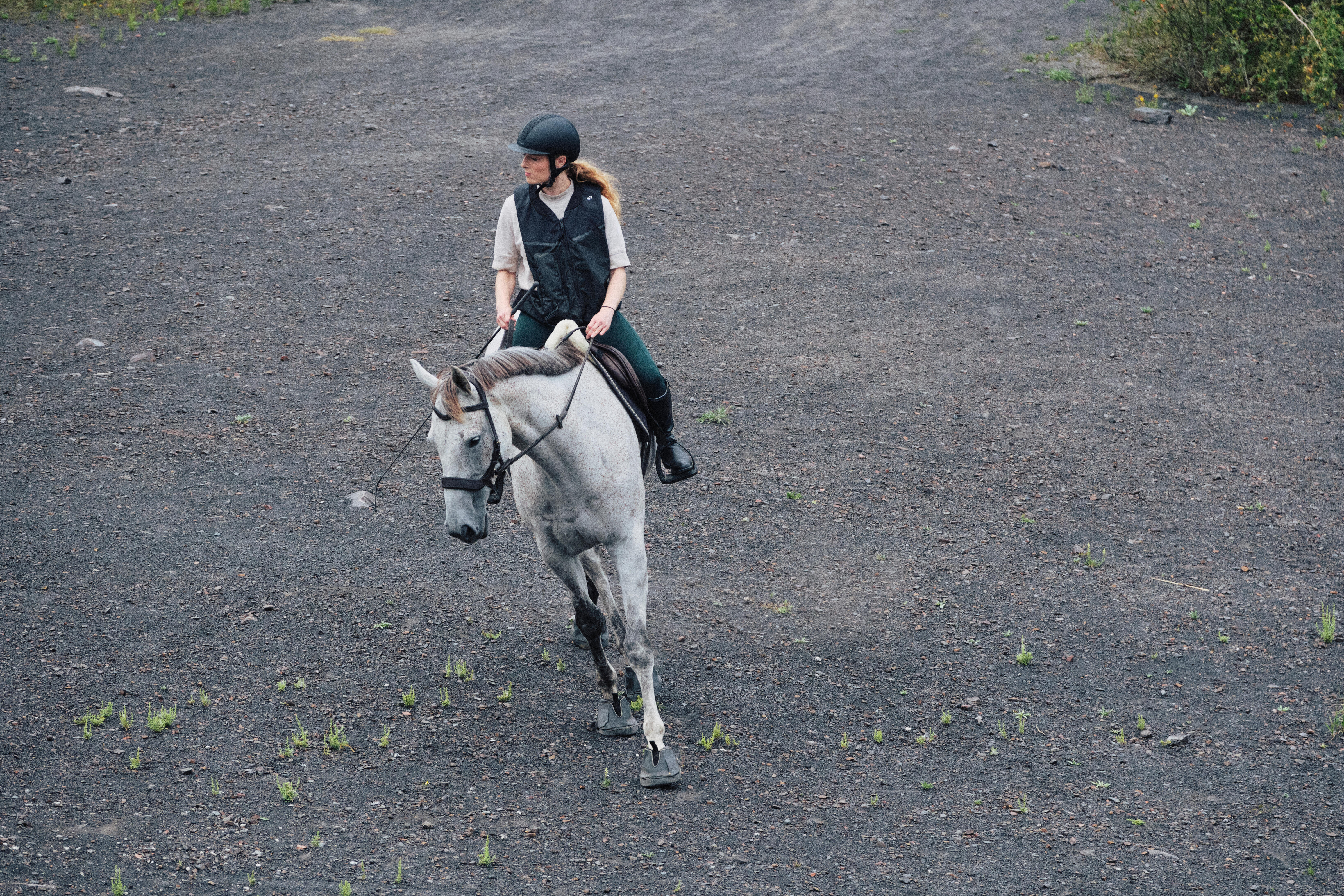 Horse and Pony Bitless Bridle - FOUGANZA