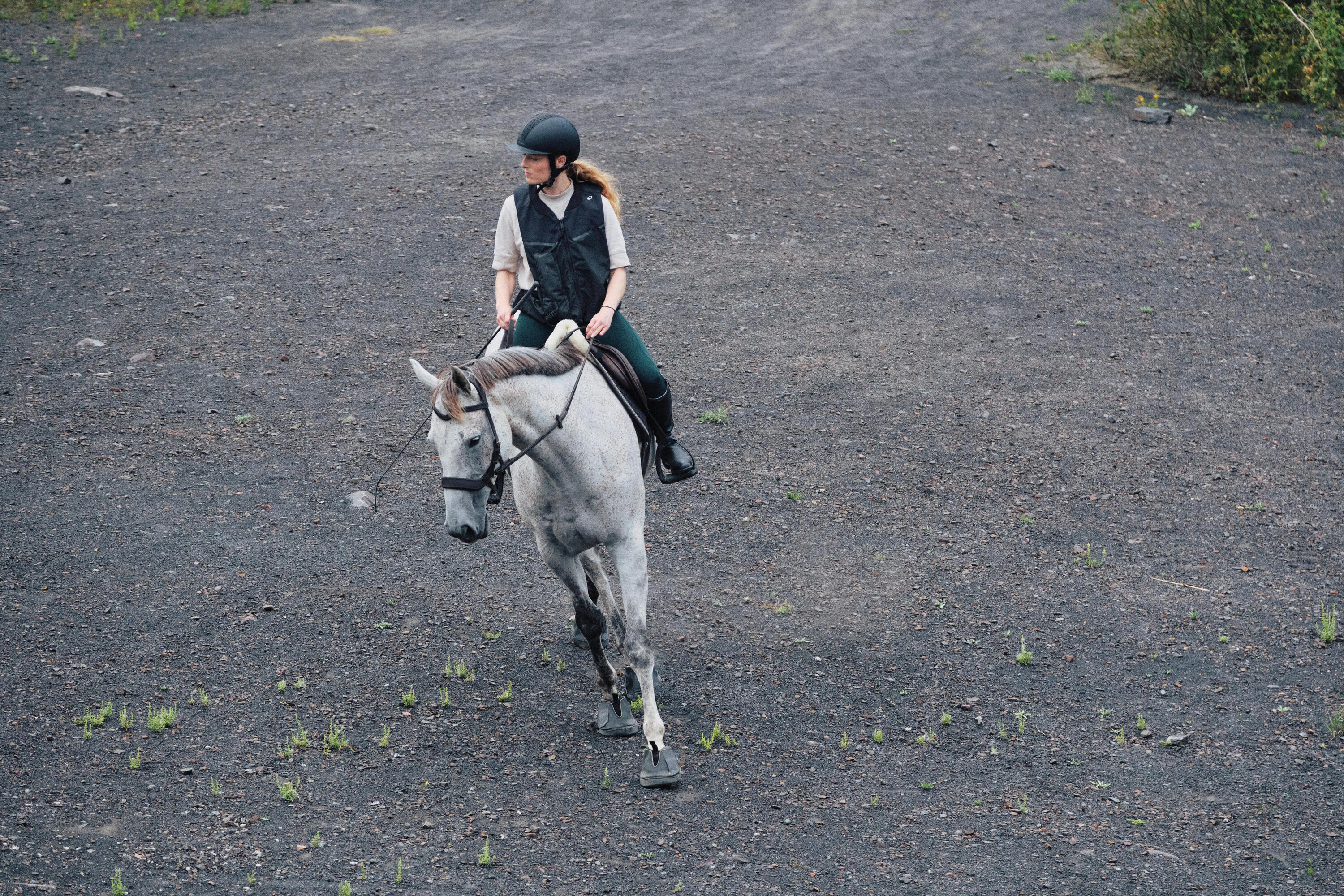 Bridon sans mors d’équitation pour cheval et poney 7/8
