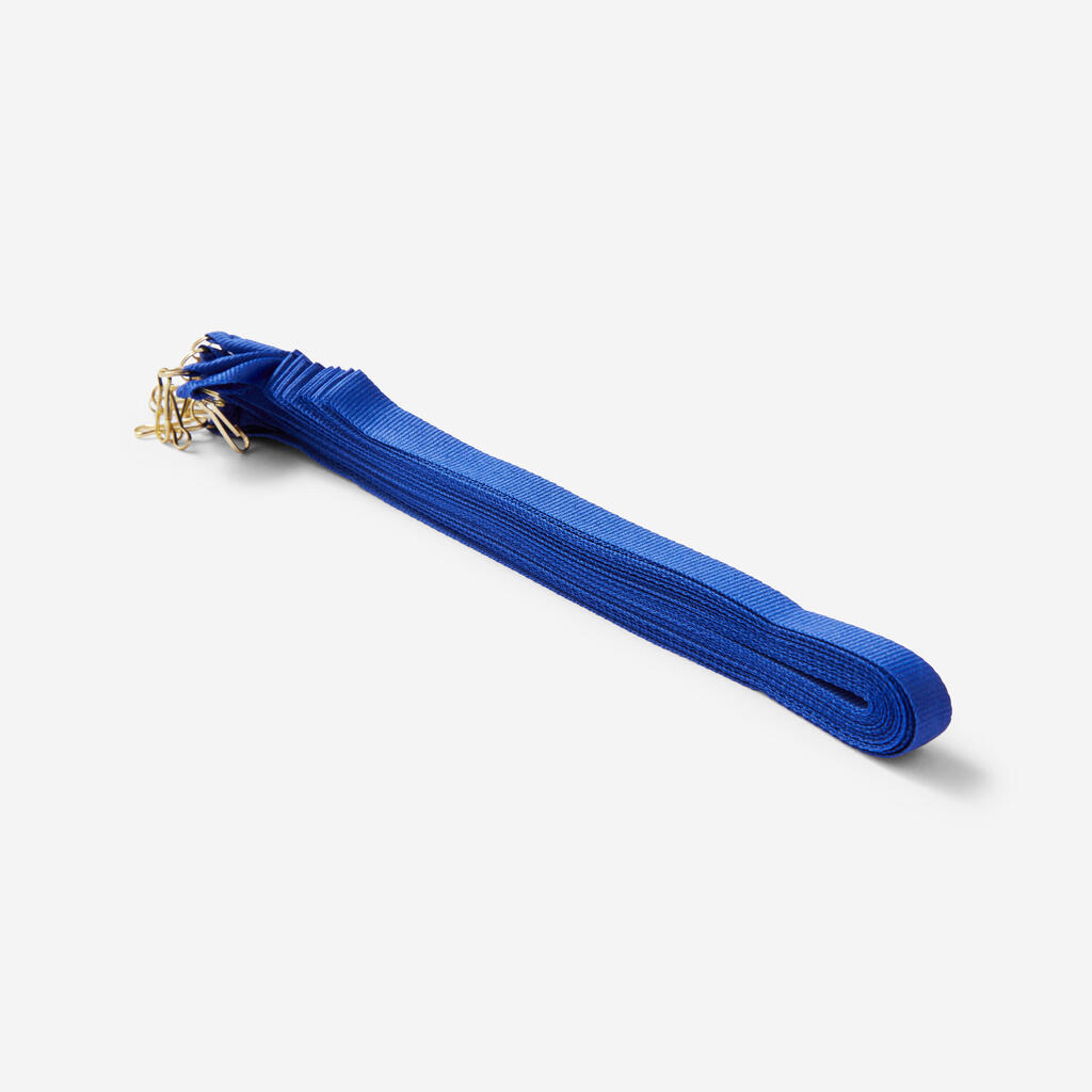 Ribbons 10 mm 10-Pack - Blue