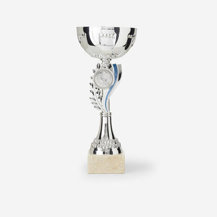 Coupe c160 argent/bleu 23cm