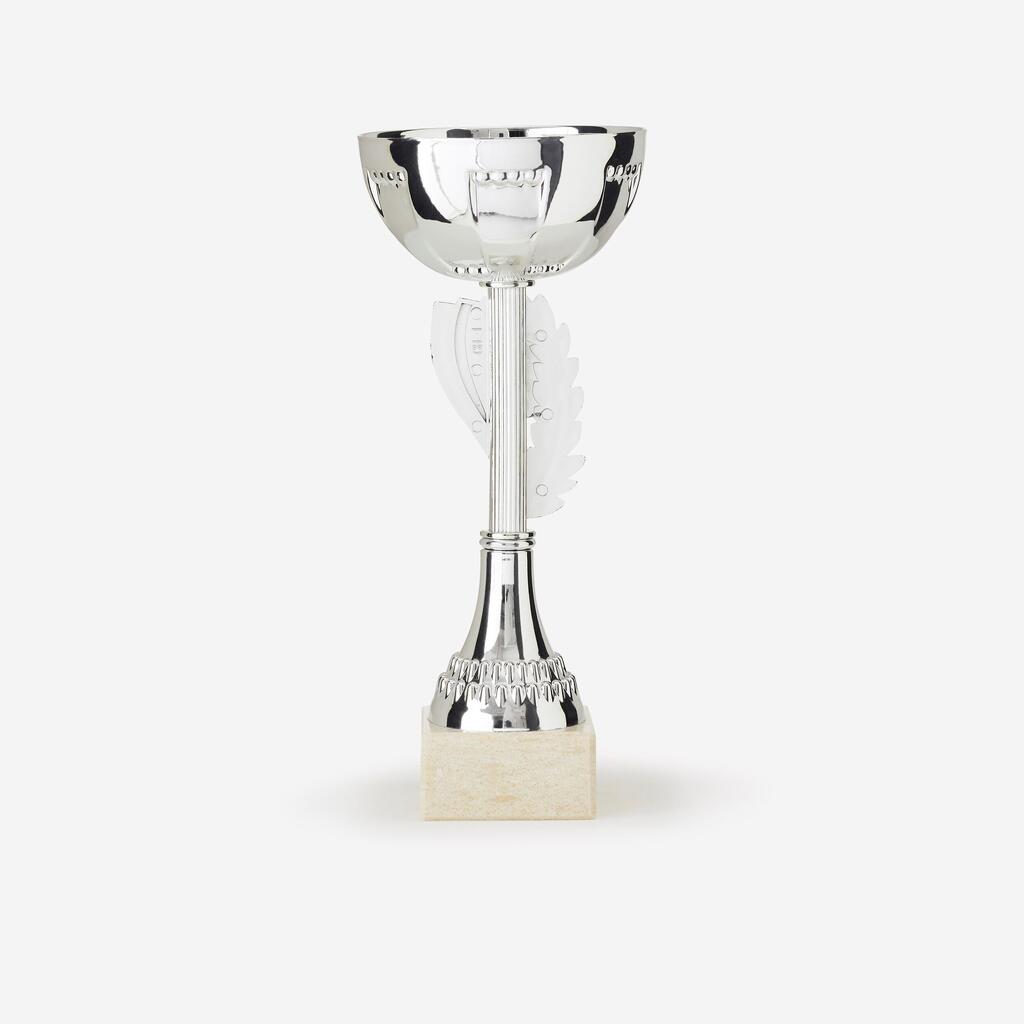 Taurė „C160“, 23 cm, sidabrinė, mėlyna