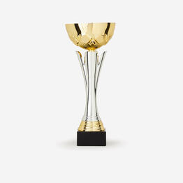COUPE OR/ARGENT 32  cm