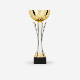 COUPE OR/ARGENT 32  cm